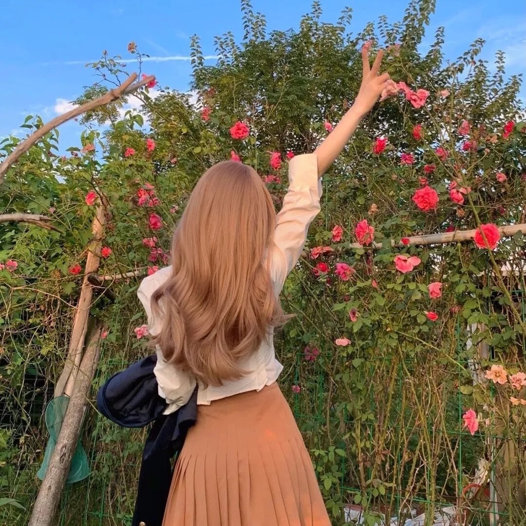 傲骨贤妻第二季